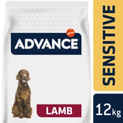 Affinity Advance Sensitive Medium-Maxi Lamm & Reis - Hund -ROYAL CANIN Verkaufsgeschäft affinity advance sensitive medium maxi lam en rijst hond 177997 0500 none