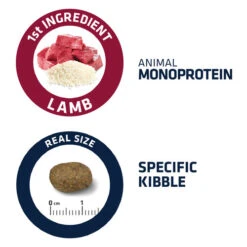 Affinity Advance Sensitive Medium-Maxi Lamm & Reis - Hund -ROYAL CANIN Verkaufsgeschäft affinity advance sensitive medium maxi lam en rijst hond 178006 0500 none