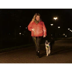 Beeztees Safety Gear Parinca Premium Halsband -ROYAL CANIN Verkaufsgeschäft beeztees safety gear parinca premium halsband 215009 0500 none