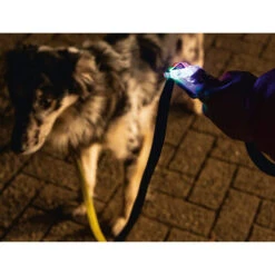 Beeztees Safety Gear Parinca Premium Hundeleine 14 Beeztees Safety Gear Parinca Premium Hundeleine -ROYAL CANIN Verkaufsgeschäft beeztees safety gear parinca premium hondenriem 215036 0500 none