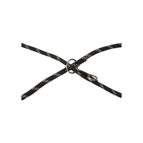 Beeztees Verstellbare Hundeleine 5 Beeztees Verstellbare Hundeleine – Bild 3