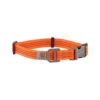 Carhartt Tradesman Hundehalsband -ROYAL CANIN Verkaufsgeschäft carhartt tradesman dog collar 186577 0500 none