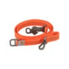 Carhartt Tradesman Dog Leash 1 Carhartt Tradesman Dog Leash -ROYAL CANIN Verkaufsgeschäft carhartt tradesman dog leash 187022 0500 none