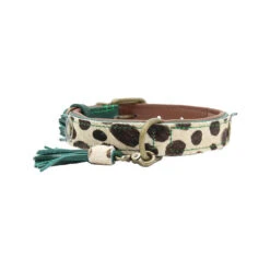 DWAM Halsband Ivy -ROYAL CANIN Verkaufsgeschäft dwam halsband ivy 180664 0500 none