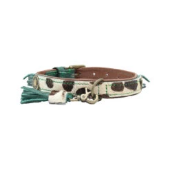 DWAM Halsband Ivy -ROYAL CANIN Verkaufsgeschäft dwam halsband ivy 180670 0500 none