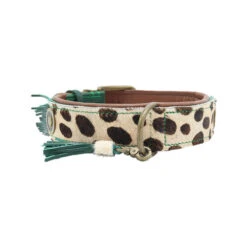 DWAM Halsband Ivy -ROYAL CANIN Verkaufsgeschäft dwam halsband ivy 180676 0500 none