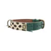 DWAM Halsband Ivy 1 DWAM Halsband Ivy -ROYAL CANIN Verkaufsgeschäft dwam halsband ivy 180679 0500 none