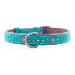 DWAM Halsband Janis -ROYAL CANIN Verkaufsgeschäft dwam halsband janis 122924 0500 none