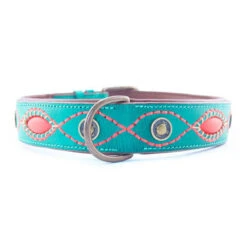 DWAM Halsband Janis -ROYAL CANIN Verkaufsgeschäft dwam halsband janis 122927 0500 none