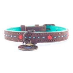 DWAM Halsband Joplin -ROYAL CANIN Verkaufsgeschäft dwam halsband joplin 122933 0500 none