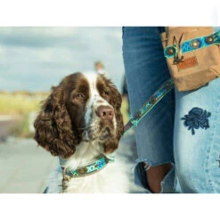 DWAM Hundeleine Boho Juan -ROYAL CANIN Verkaufsgeschäft dwam hondenriem boho juan 135979 0500 none