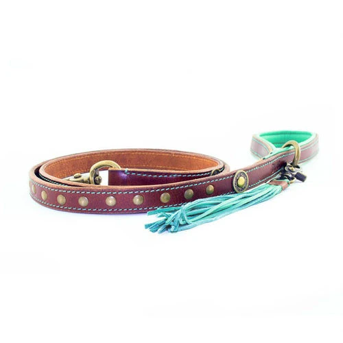 DWAM Hundeleine Joe 3 DWAM Hundeleine Joe