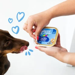 Edgard & Cooper Adult - Lachs Und Truthahn - Schale -ROYAL CANIN Verkaufsgeschäft edgard cooper adult zalm kalkoen kuipje 208616 0500 none