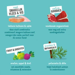 Edgard & Cooper Adult - Lachs Und Truthahn - Schale -ROYAL CANIN Verkaufsgeschäft edgard cooper adult zalm kalkoen kuipje 208619 0500 none