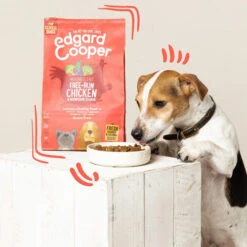 Edgard & Cooper Senior - Huhn & Lachs -ROYAL CANIN Verkaufsgeschäft edgard cooper senior kip zalm 168336 0500 none