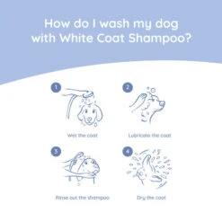 Greenfields Malteser Care Set 11 Greenfields Malteser Care Set -ROYAL CANIN Verkaufsgeschäft greenfields malteser care set 220905 0500 none