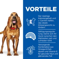 Hill's Science Plan - Light - Mature/Adult 10 Hill's Science Plan - Light - Mature/Adult -ROYAL CANIN Verkaufsgeschäft hills science plan matureadult light medium 218606 0500 none