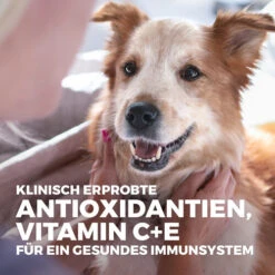 Hill's Science Plan - Light - Mature/Adult 11 Hill's Science Plan - Light - Mature/Adult -ROYAL CANIN Verkaufsgeschäft hills science plan matureadult light medium 218609 0500 none