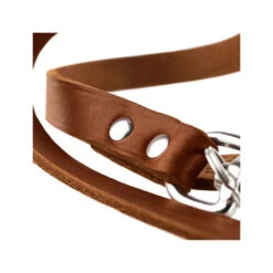 Hunter Trainingsleine - Braun 9 Hunter Trainingsleine - Braun -ROYAL CANIN Verkaufsgeschäft hunter trainingsriem bruin 175345 0500 none