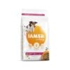 IAMS For Vitality Dog Mature & Senior -ROYAL CANIN Verkaufsgeschäft iams dog mature senior 133691 0500 none