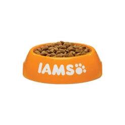 ROYAL CANIN Verkaufsgeschäft -ROYAL CANIN Verkaufsgeschäft iams dog mature senior 133694 0500 none