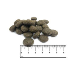 ICEPAW Nordic Pure -ROYAL CANIN Verkaufsgeschäft icepaw nordic pure 221037 0500 none