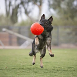 Jolly Soccer Ball -ROYAL CANIN Verkaufsgeschäft jolly soccer ball 162241 0500 none