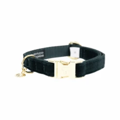 Kentucky Dogwear Corduroy Hundehalsband -ROYAL CANIN Verkaufsgeschäft kentucky dogwear corduroy hondenhalsband 219194 0500 none