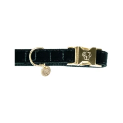 Kentucky Dogwear Corduroy Hundehalsband -ROYAL CANIN Verkaufsgeschäft kentucky dogwear corduroy hondenhalsband 219195 0500 none