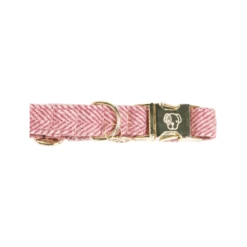 Kentucky Dogwear Hundehalsband Wool 30 Kentucky Dogwear Hundehalsband Wool -ROYAL CANIN Verkaufsgeschäft kentucky dogwear hondenhalsband wool 219709 0500 none