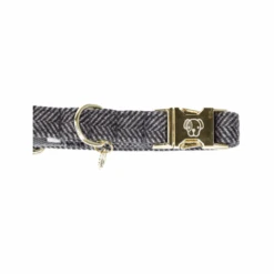 Kentucky Dogwear Hundehalsband Wool 26 Kentucky Dogwear Hundehalsband Wool -ROYAL CANIN Verkaufsgeschäft kentucky dogwear hondenhalsband wool 219713 0500 none