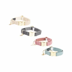 Kentucky Dogwear Hundehalsband Wool