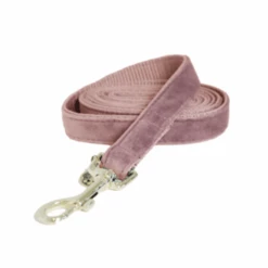 Kentucky Dogwear Hundeleine Velvet -ROYAL CANIN Verkaufsgeschäft kentucky dogwear hondenlijn velvet 219297 0500 none