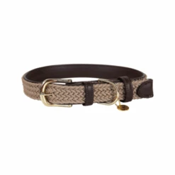 Kentucky Dogwear Nylon Hundehalsband 12 Kentucky Dogwear Nylon Hundehalsband -ROYAL CANIN Verkaufsgeschäft kentucky dogwear nylon hondenhalsband 219176 0500 none