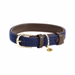 Kentucky Dogwear Nylon Hundehalsband 10 Kentucky Dogwear Nylon Hundehalsband -ROYAL CANIN Verkaufsgeschäft kentucky dogwear nylon hondenhalsband 219180 0500 none