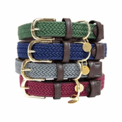 Kentucky Dogwear Nylon Hundehalsband