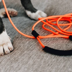 Kentucky Dogwear Schleppleine Soft Rubber 13 Kentucky Dogwear Schleppleine Soft Rubber -ROYAL CANIN Verkaufsgeschäft kentucky dogwear sleeplijn soft rubber 219203 0500 none