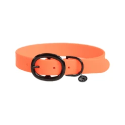 Kentucky Dogwear Soft Rubber Hundehalsband 10 Kentucky Dogwear Soft Rubber Hundehalsband -ROYAL CANIN Verkaufsgeschäft kentucky dogwear soft rubber hondenhalsband 219260 0500 none