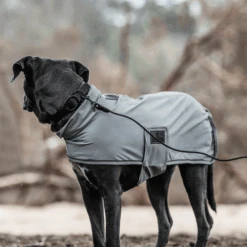 Kentucky Dogwear Soft Rubber Hundehalsband 11 Kentucky Dogwear Soft Rubber Hundehalsband -ROYAL CANIN Verkaufsgeschäft kentucky dogwear soft rubber hondenhalsband 219265 0500 none