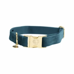 Kentucky Dogwear Velvet Hundehalsband -ROYAL CANIN Verkaufsgeschäft kentucky dogwear velvet hondenhalsband 219231 0500 none