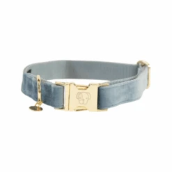 Kentucky Dogwear Velvet Hundehalsband -ROYAL CANIN Verkaufsgeschäft kentucky dogwear velvet hondenhalsband 219232 0500 none