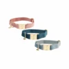 Kentucky Dogwear Velvet Hundehalsband 1 Kentucky Dogwear Velvet Hundehalsband -ROYAL CANIN Verkaufsgeschäft kentucky dogwear velvet hondenhalsband 219233 0500 none