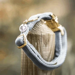 Kentucky Dogwear Velvet Hundehalsband -ROYAL CANIN Verkaufsgeschäft kentucky dogwear velvet hondenhalsband 219236 0500 none