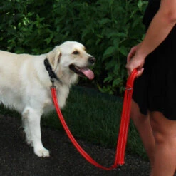 KONG Adjustable Leash -ROYAL CANIN Verkaufsgeschäft kong adjustable leash 194813 0500 none