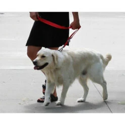 KONG Adjustable Leash -ROYAL CANIN Verkaufsgeschäft kong adjustable leash zwart 176941 0500 none