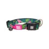 Max & Molly Smart ID Halsband Tropical -ROYAL CANIN Verkaufsgeschäft max molly smart id halsband tropical 184288 0500 none