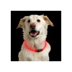 Nite Ize NiteHowl LED Safety Necklace -ROYAL CANIN Verkaufsgeschäft nite ize nitehowl led safety necklace 89526 0500 none