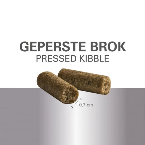 Prins ProCare Mini Senior Support 5 Prins ProCare Mini Senior Support – Bild 3