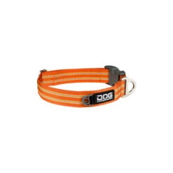 DOG Copenhagen Urban Style Halsband -ROYAL CANIN Verkaufsgeschäft prod 15937 220283 0500 none