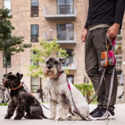 DOG Copenhagen Urban Trail Leine 16 DOG Copenhagen Urban Trail Leine -ROYAL CANIN Verkaufsgeschäft prod 15941 220339 0500 none